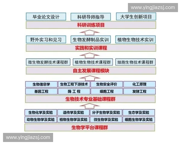 以运动评审为核心推动竞技公平与规则创新的实践探索体系建设与技术融合